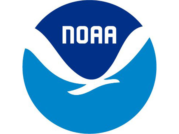 New US research shows pollen can change weather