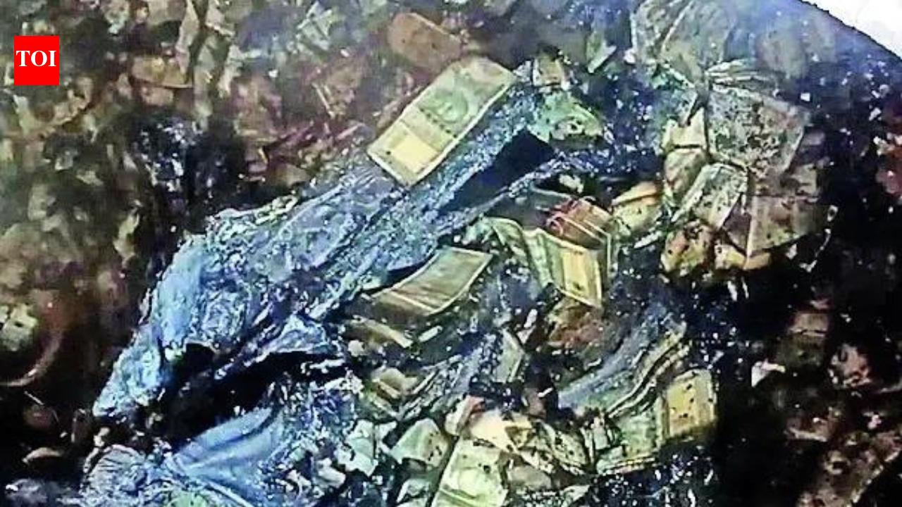 Information: Varma goes down protesting: 'Asked to answer the unanswerable'