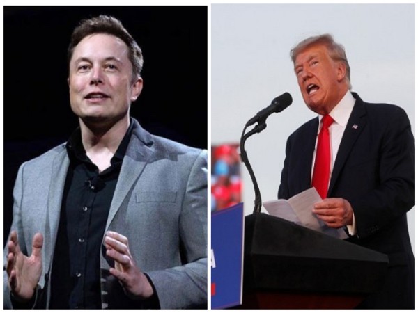 Previous US President Donald Trump thinking about Elon Musk for White House warning job in the event that he wins: Report