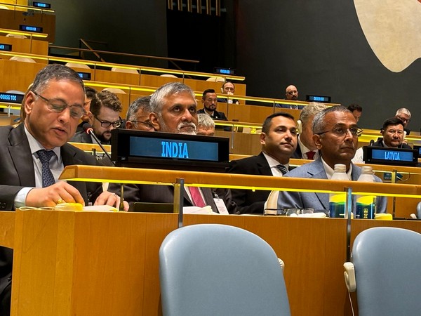 There can be not a viable replacement for public endeavors in establishing climate where regular folks are secure: India at UN
