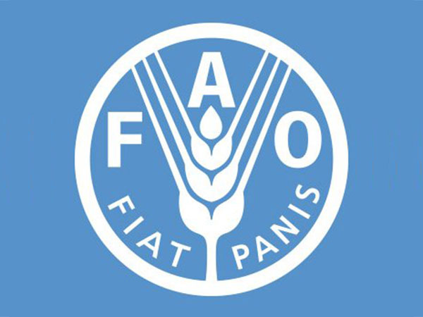 FAO puts focus on importance of technology for International Day of Plant Health