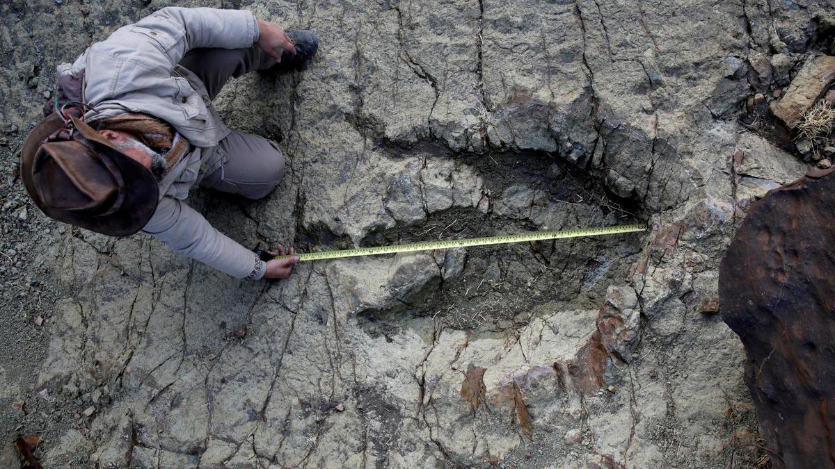 New AI method helps identify which dinosaur made which footprints