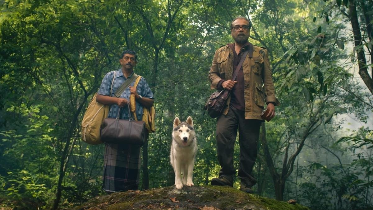 Interview | Composer Mujeeb Majeed: I am excited about the challenges each project entails